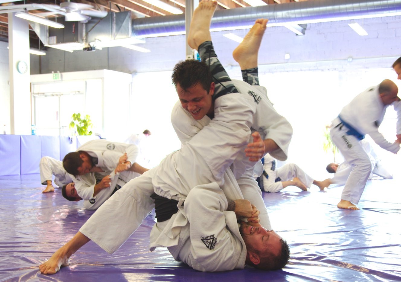 gracie master cycle card